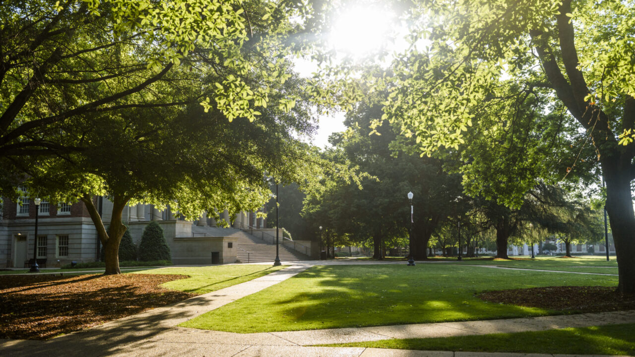 The steps to Gorgas Library on The University of Alabama campus nestled among trees and golden sunlight.