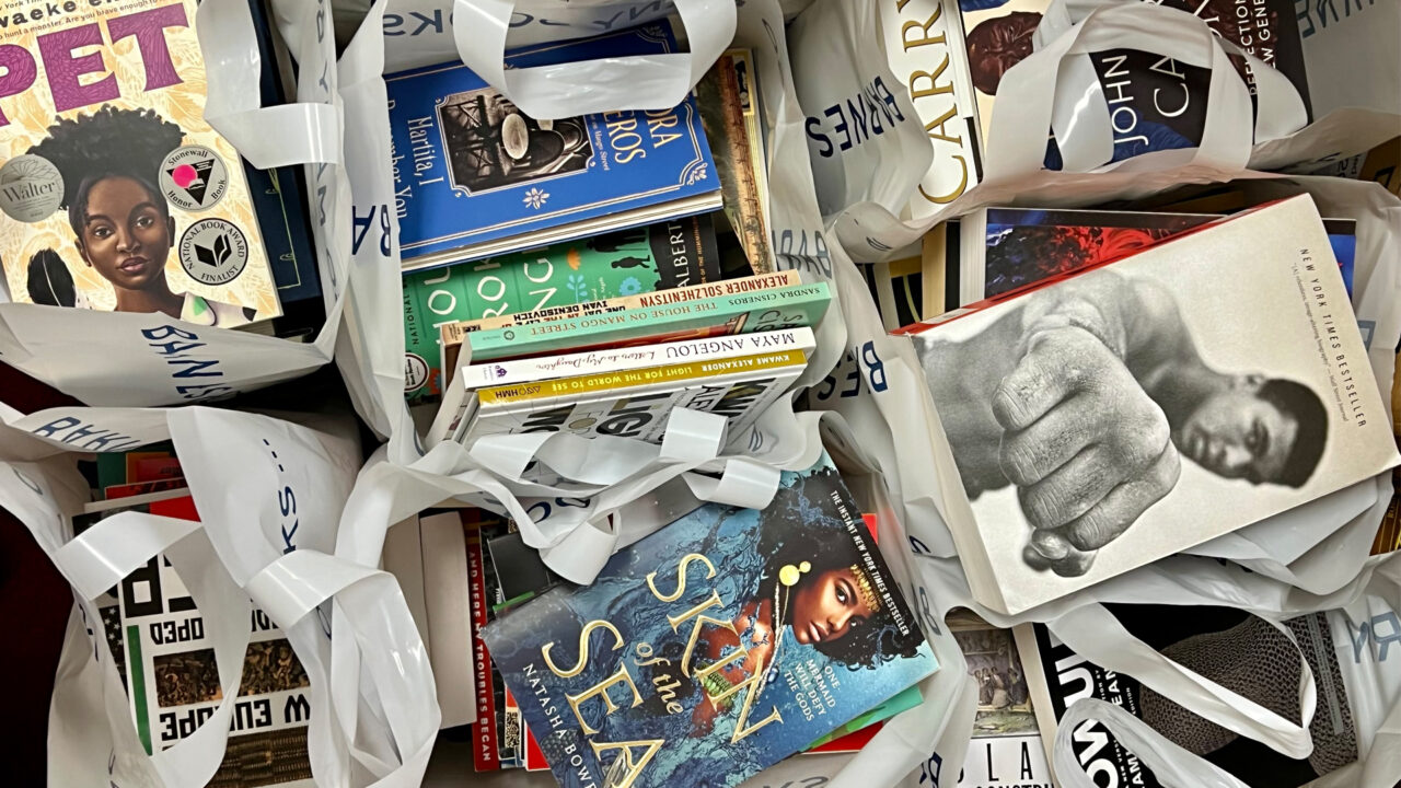 Books in bags following last year's Book for the Black Belt campaign