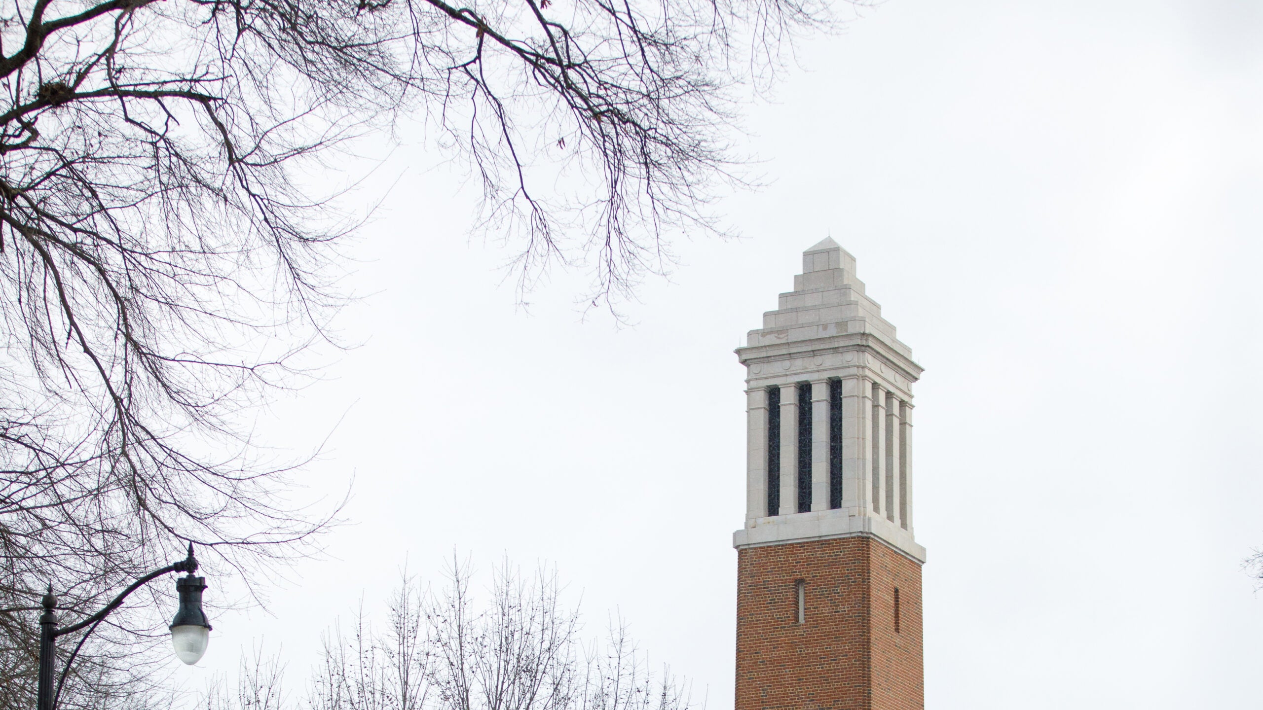 Top of Denny Chimes in winter weather