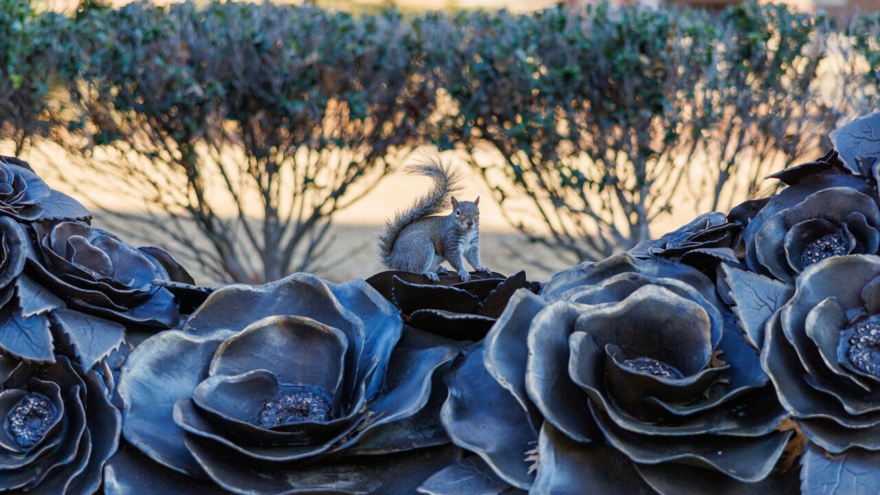 Squirrel sitting on top of bronze flower sculpture.