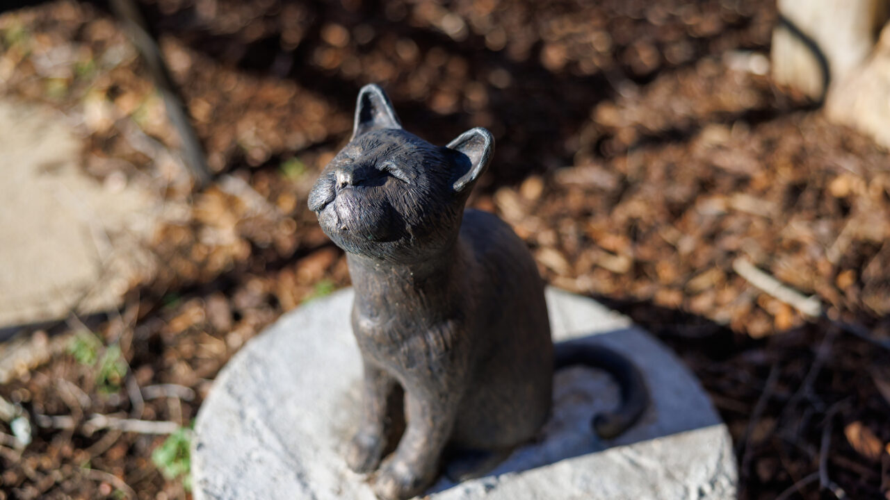 small bronze cat with upturned face