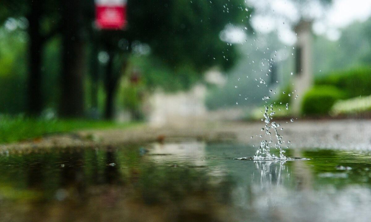 A rain drop falls into a puddle on campus.