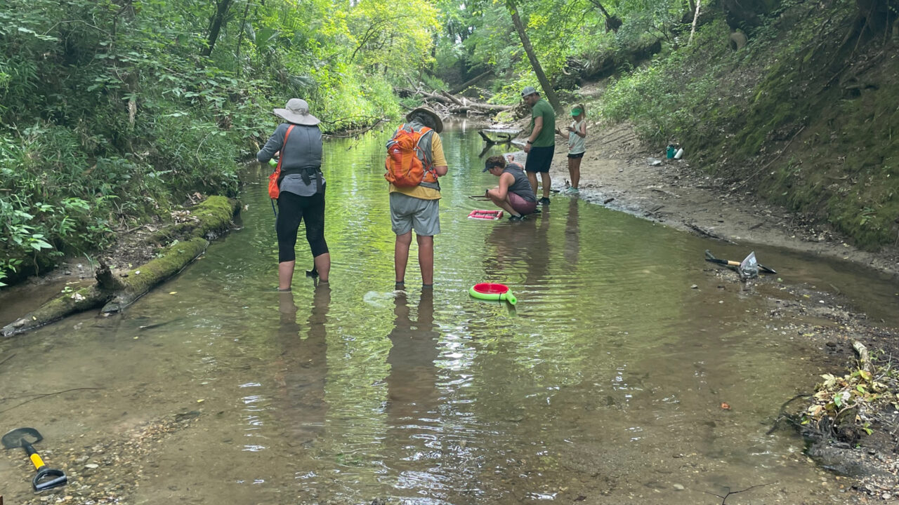 People searching for fossils in a creek