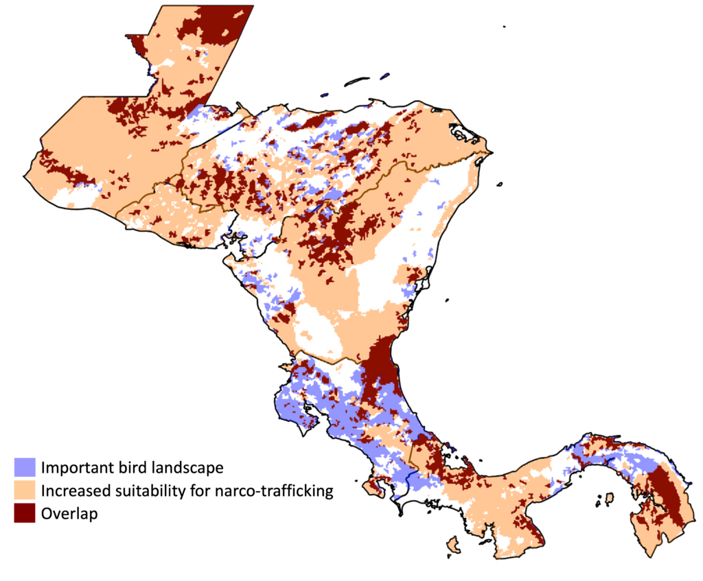 Map showing important bird habitat in central America and where it intersects with land at risk for trafficking activities.