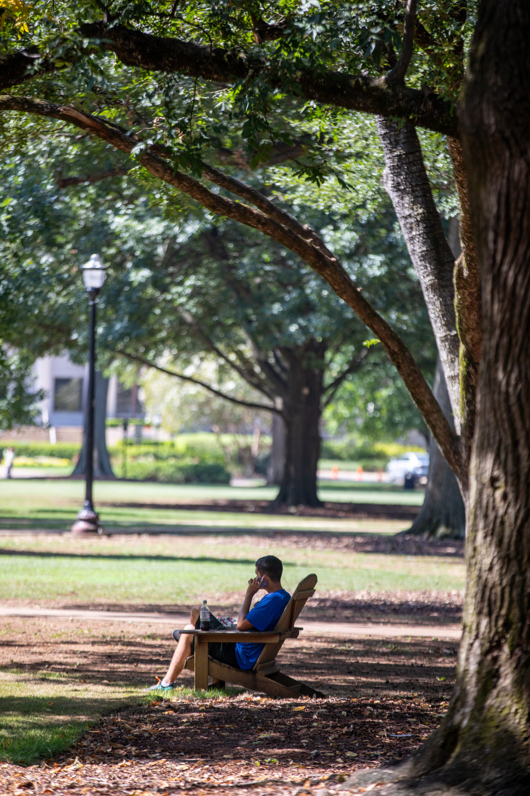 Student sits in an Adirondack chair in the shade under one of the Quad's large oak trees. 