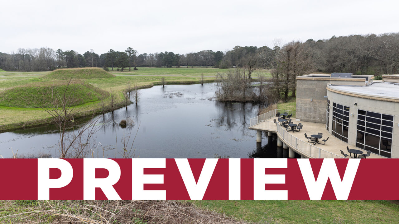 The landscape at Moundville Archaeological Park