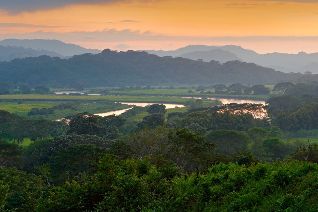 Mountains rise in the distance with lush green forest and a winding river in the foreground. 