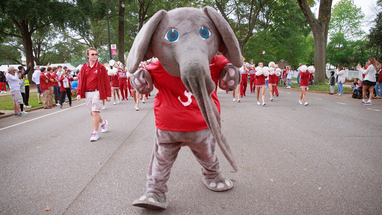 Big Al leading a parade.