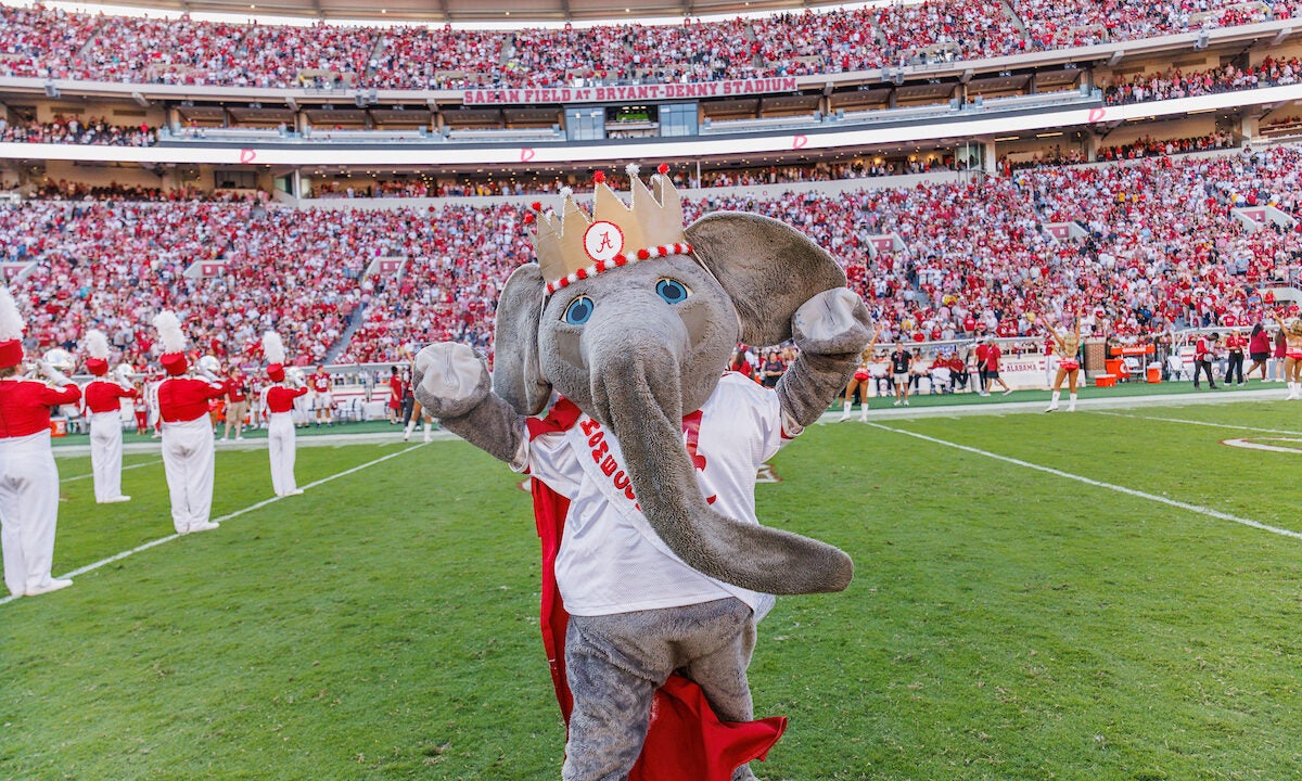 Big Al stands on Saban Field at Bryant-Denny Stadium wearing a homecoming king costume.