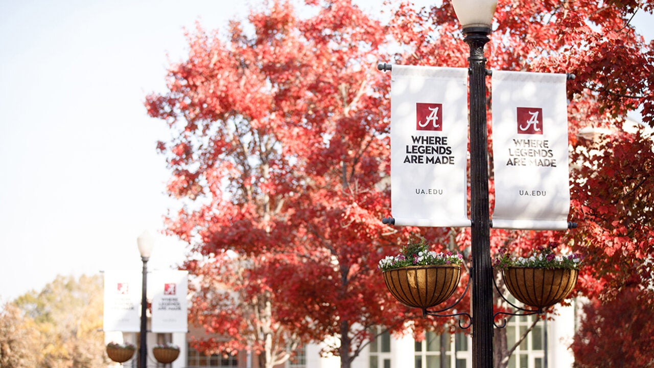 Photo of The University of Alabama foliage and banners.