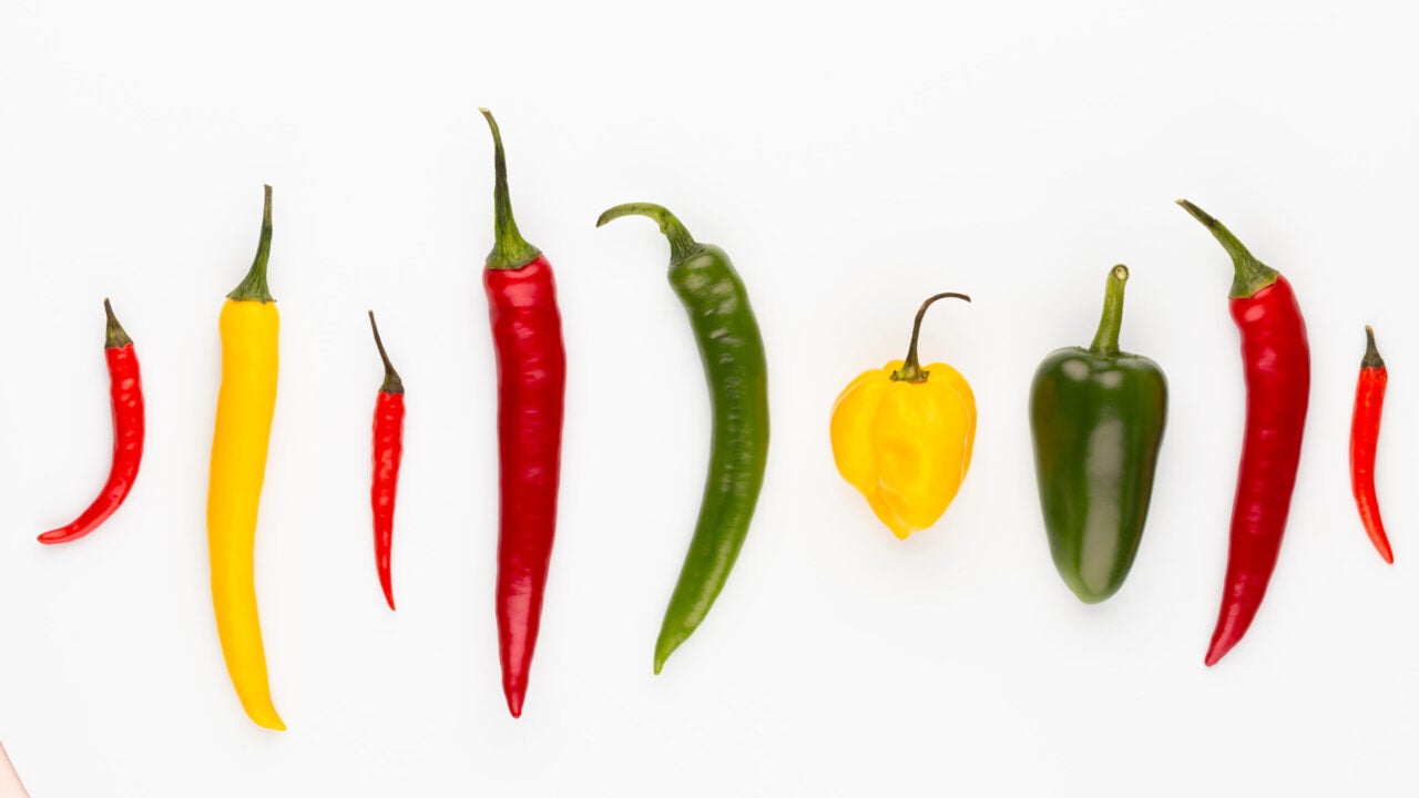 A row of chili peppers in a variety of colors and shapes