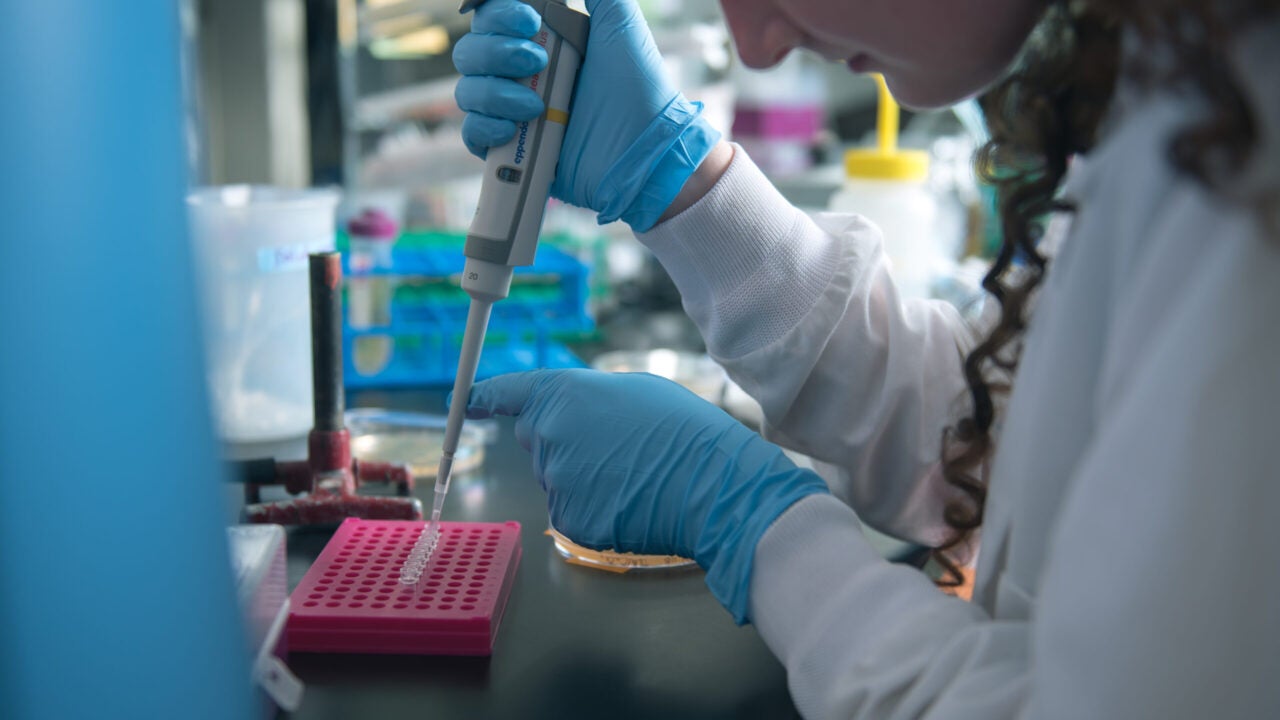 UA student conducts bacteria research using a pipette.