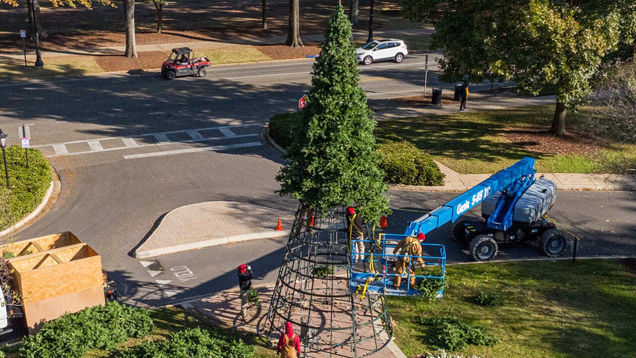 Aerial photo of the tree in front of Rose Administration.