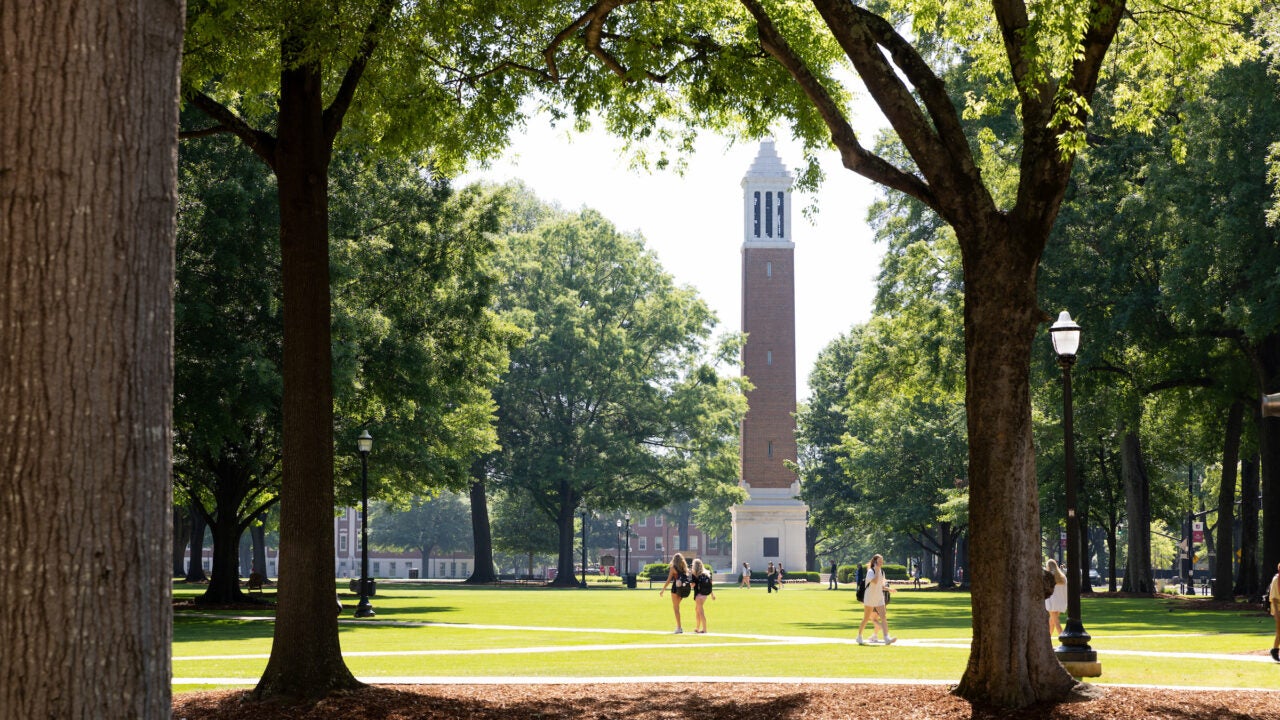 Quad in spring