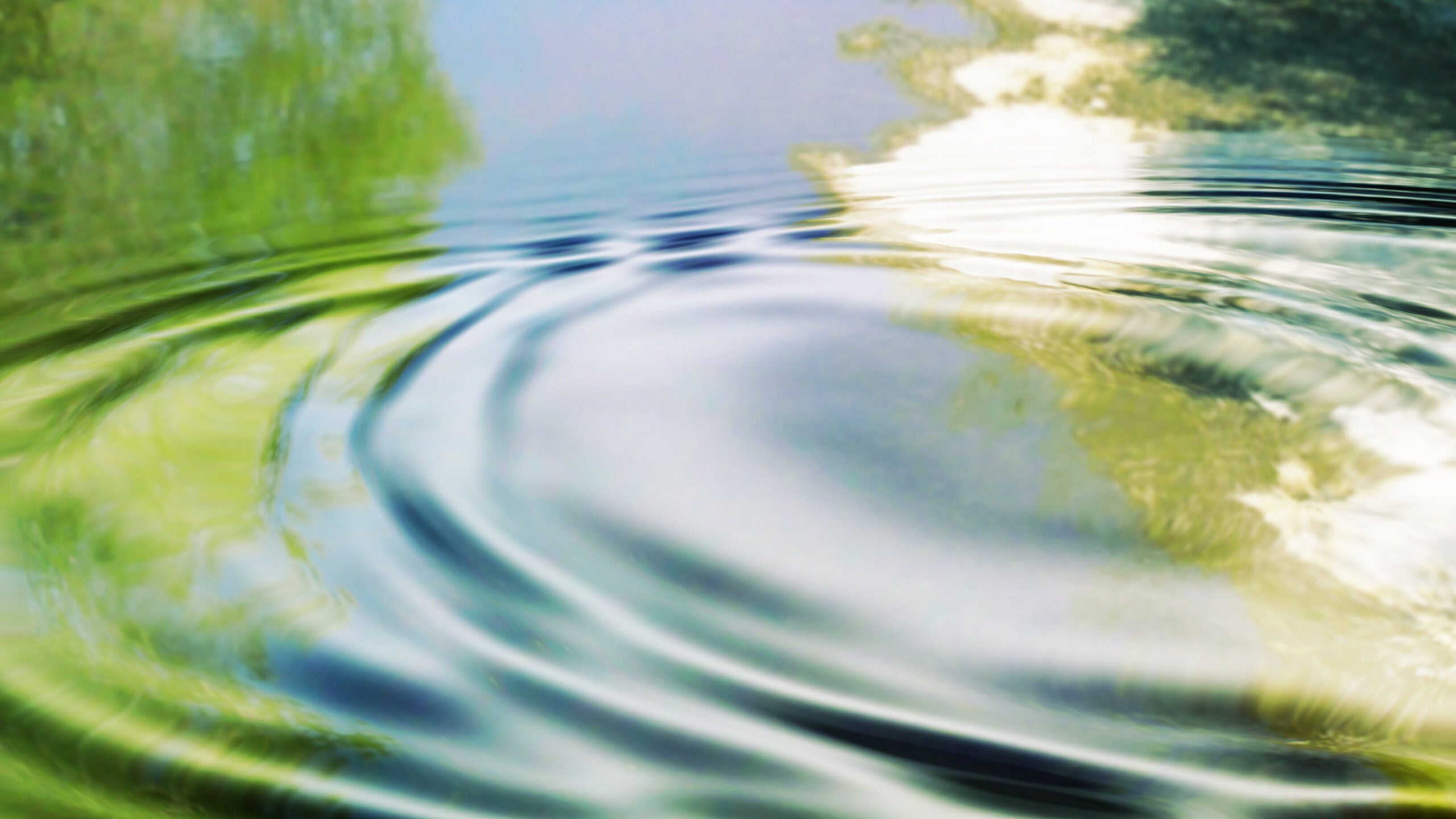 Ripples spread from a central point on the surface of water with trees and blue sky reflected in its surface