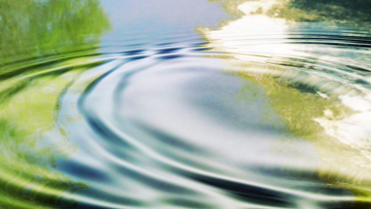 Ripples spread from a central point on the surface of water with trees and blue sky reflected in its surface