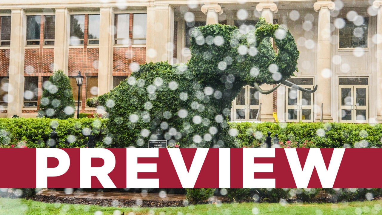 The elephant topiary in front of the Rose Administration Building in the rain