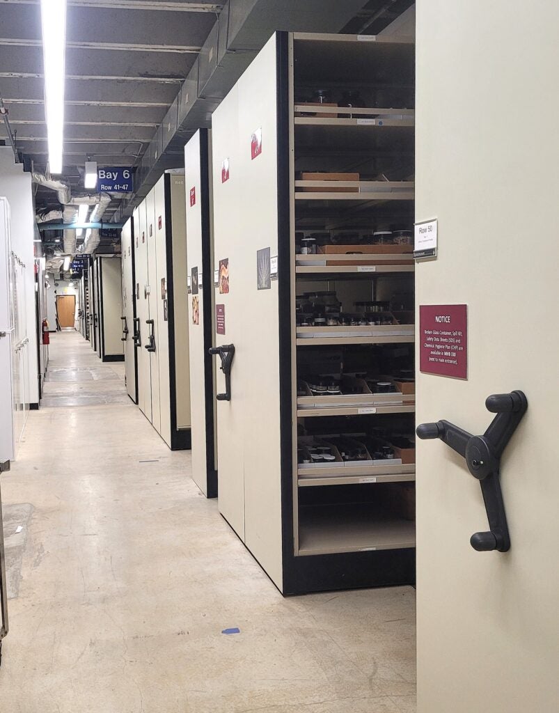 Beige metal shelves fill the large room where the natural history collections are housed.