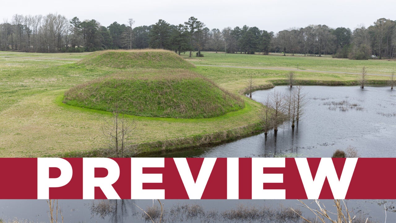 Mounds and a pond at Moundville Archaeological Park