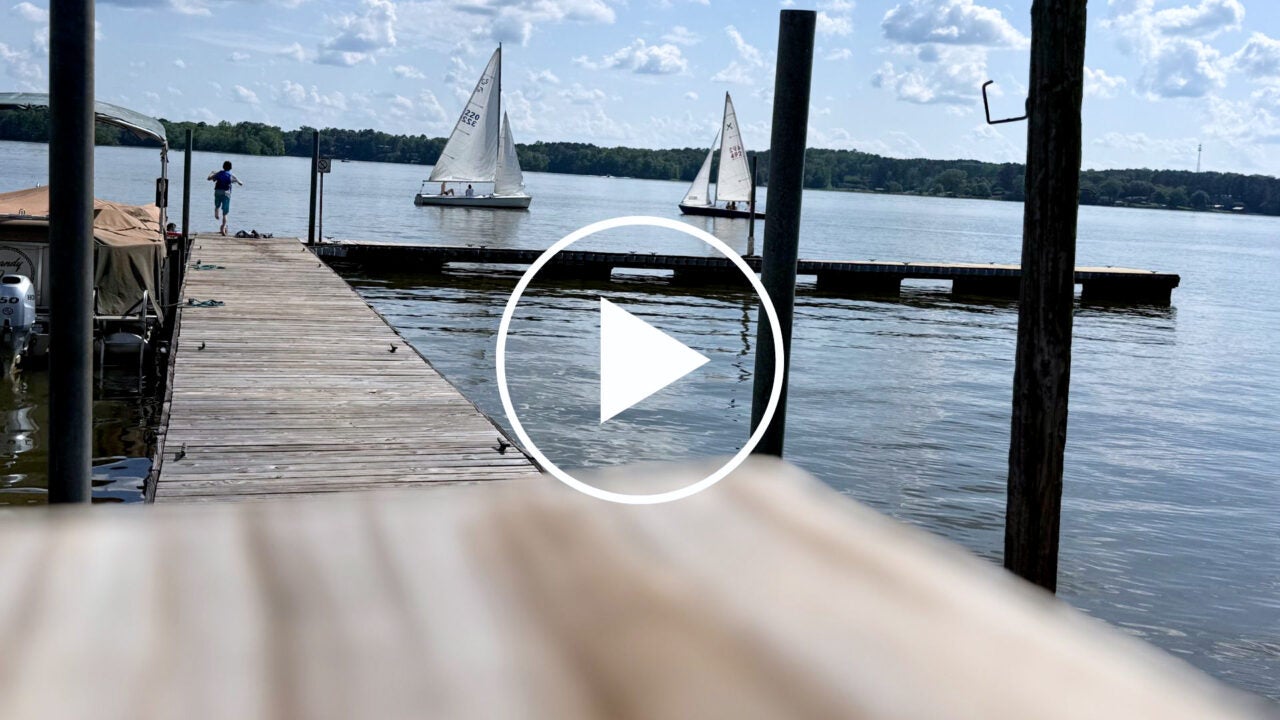 UA Sailing Club: Navigating New Waters and Building Community