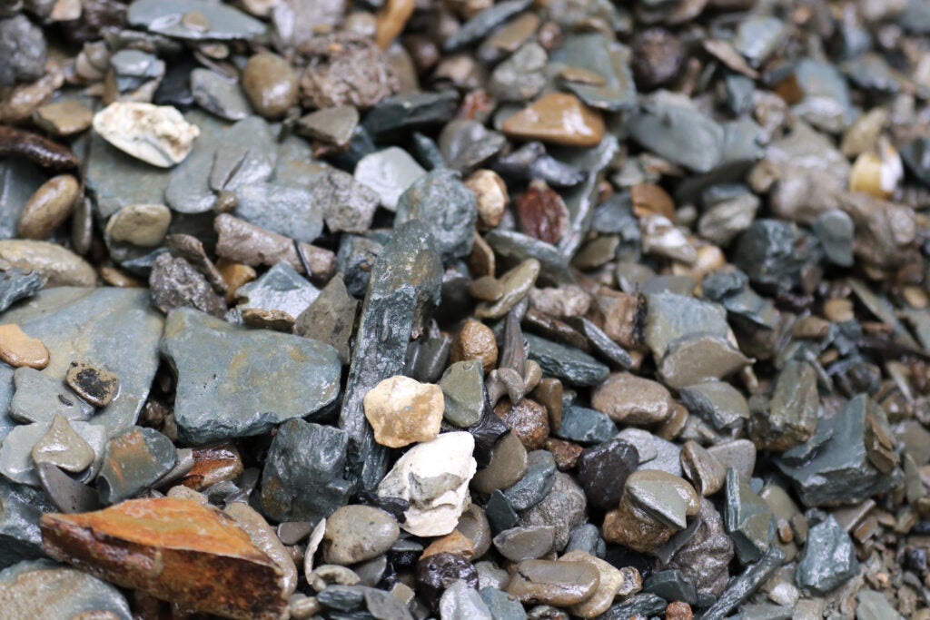 photo shows a collection of gravel and debris from the creek bed.