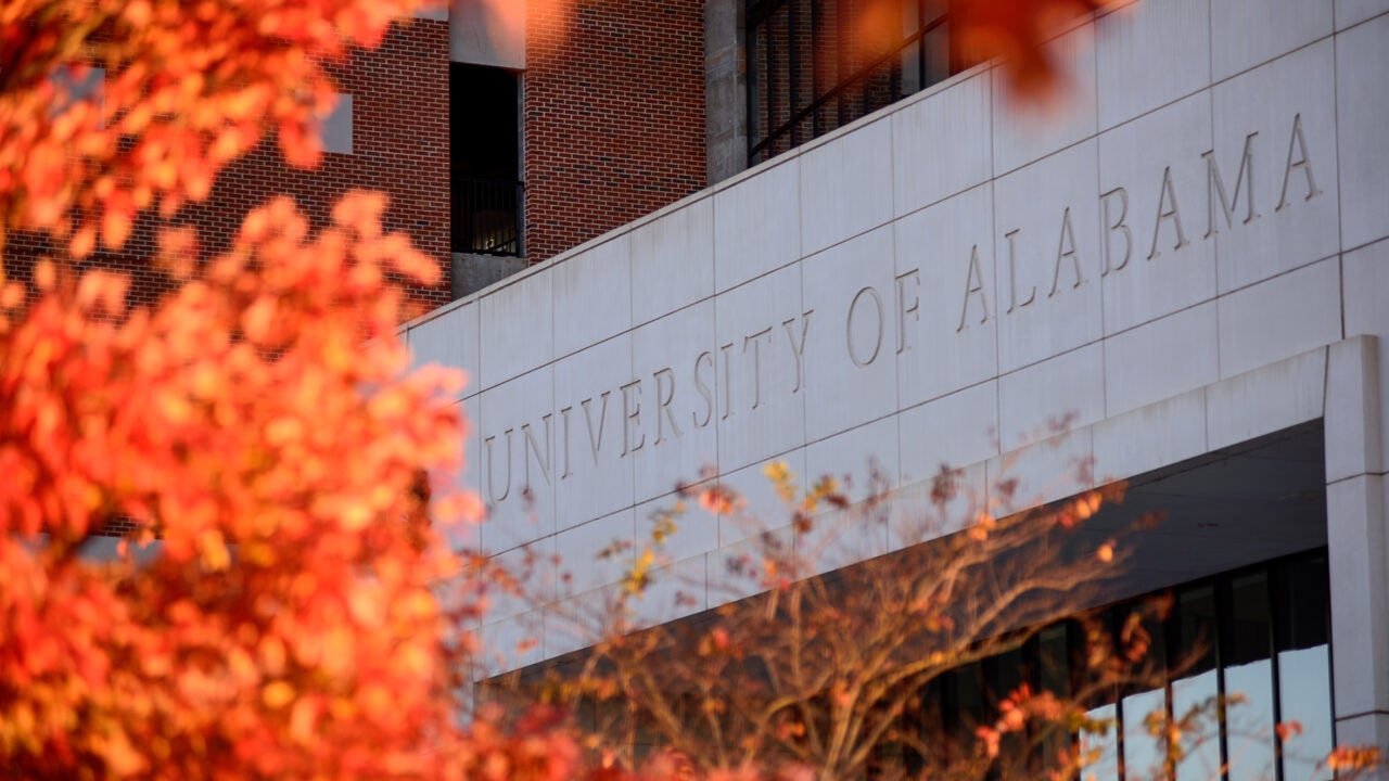 Bright orange leaves on campus