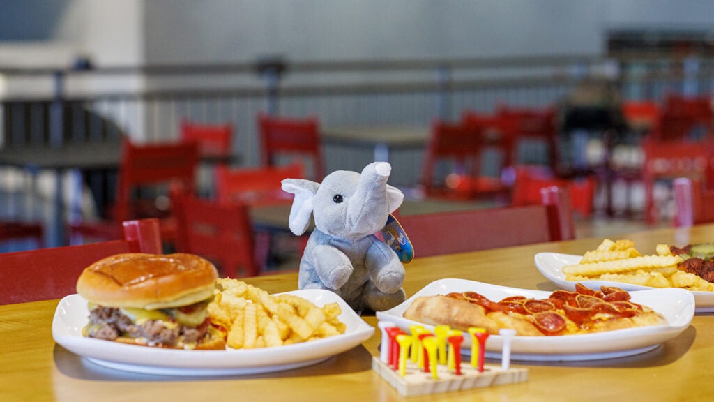 A sampling of foods.