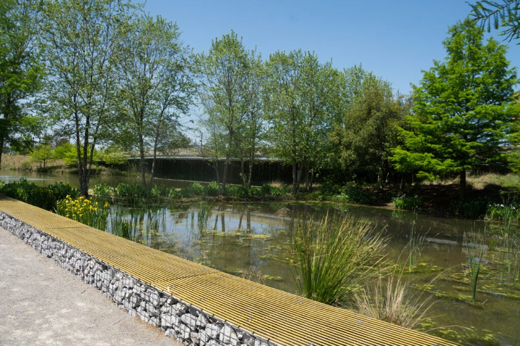 Shallow pond beside a sidewalk trail in Railroad Park in Birmingham, Alabama.