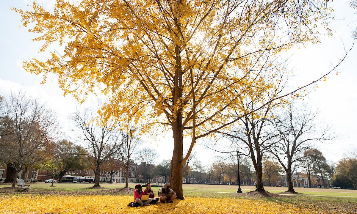Three students sitting in leaves under a tree on the Quad