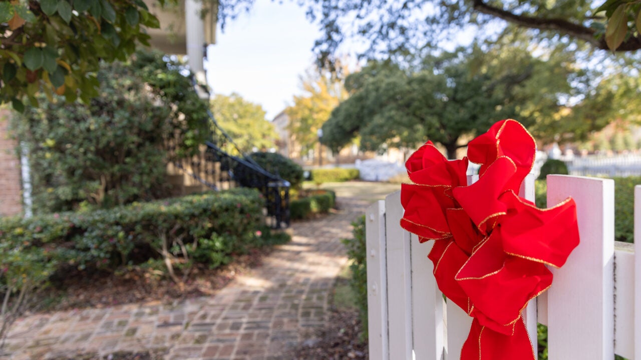 Holiday Bow Decoration