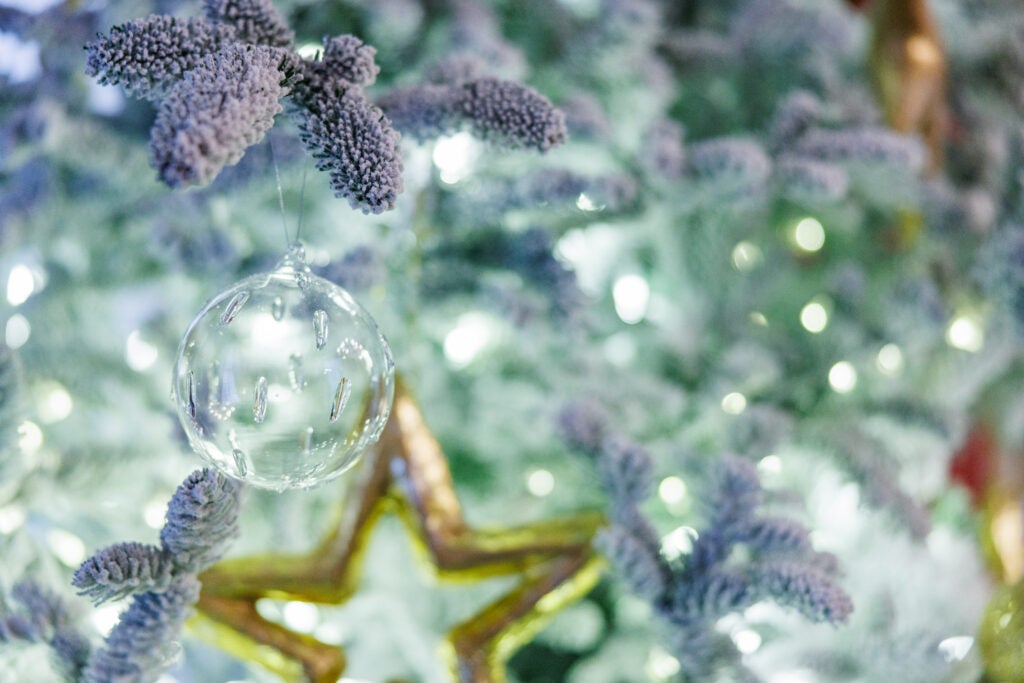 Ornament on a bright Christmas tree