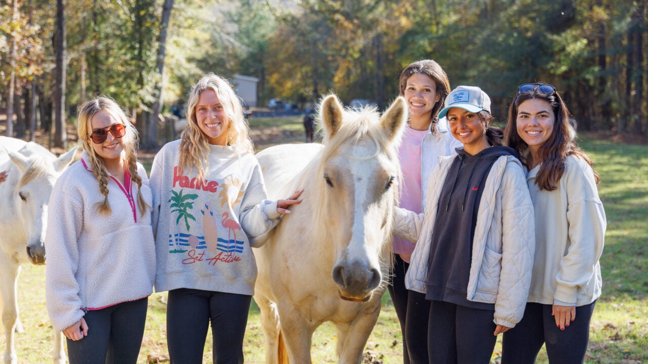 students smile while standing next to a horse at Therapeutic riding of Tuscaloosa during the homecoming day of service.