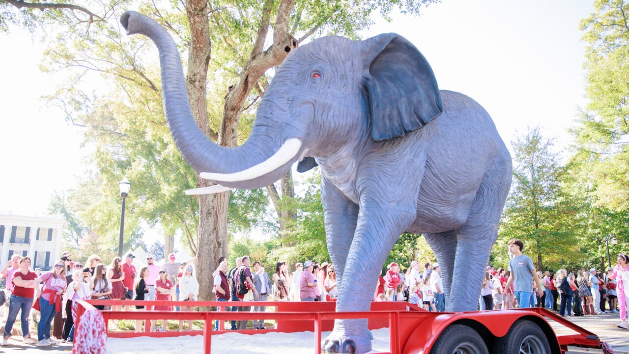 a giant elephant statue pulled in a trailer during the homecoming parade