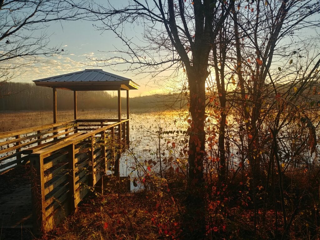 A small dock and pavilion at Palamore Park jutting over a still lake as the sun rises. A birding spot near campus.