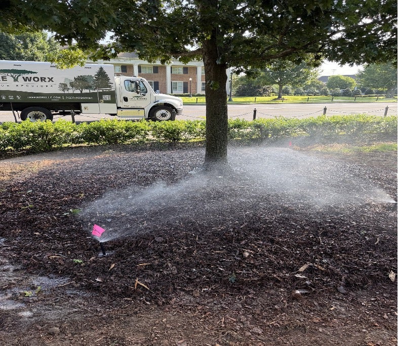 A new irrigation system watering a new oak tree